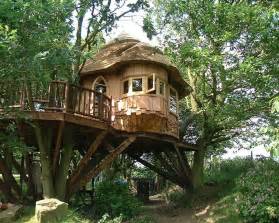 Lake District Tree House Blue Forest Cool Tree Houses Tree House Plans Tree House