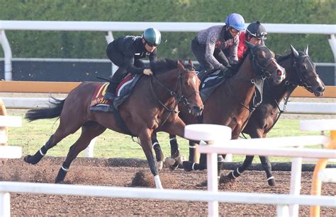 【オークス】リバティアイランド動き抜群「ストレッチ程度」で驚愕の10秒8／g1追い切り速報 3歳馬特集 競馬写真ニュース 日刊スポーツ