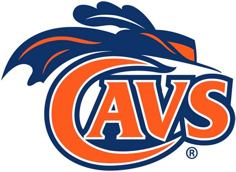 Blue and Orange Team Logo