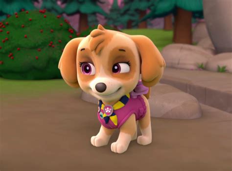 Skye Paw Patrol Photo 40263706 Fanpop