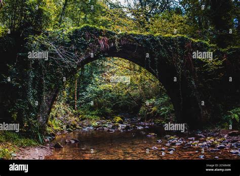 Puente De Cuerda Para Cruzar El R O De La Monta A Fotograf As E