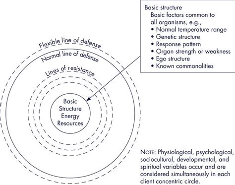 Neuman Systems Model In Nursing Practice Nurse Key