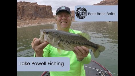 Lake Powell Fishing Report Best Baits Largemouth Smallmouth Bass