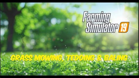 Grass Mowing Tedding Baling Farming Simulator Gameplay Vanica