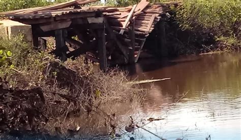 Ponte N O Suporta Peso De Ca Amba E Desaba Na Zona Rural De S O