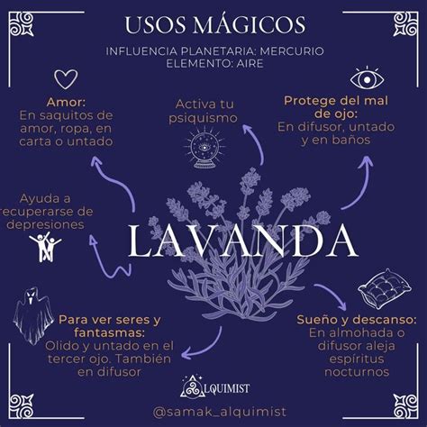 Usos M Gicos De La Lavanda Libro De Las Sombras Libros De Hechizos