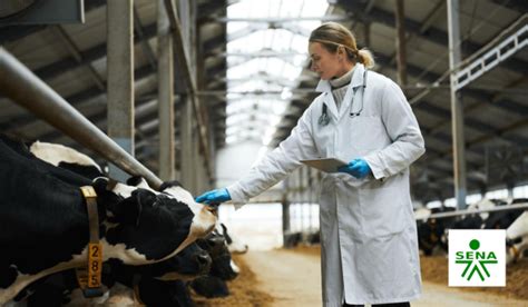 Curso de prácticas de manejo sanitario en bovinos