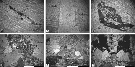 Example Photomicrographs Illustrating Common Paragenetic Relations And