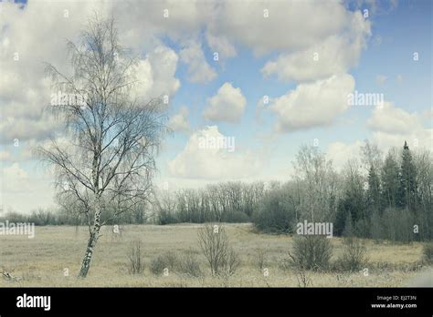 winter landscape nature without people Stock Photo - Alamy