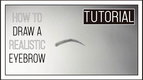 Tutorial How To Draw A Realistic Eyebrow Beginners Youtube