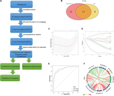 Frontiers Identification Of A Six Immune Related Long Non Coding Rna