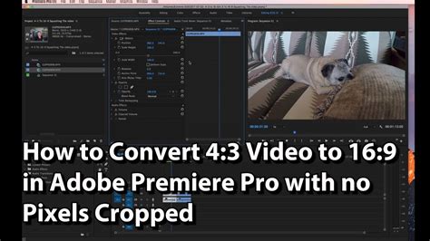 How To Convert Video To In Adobe Premiere Pro With No Pixels