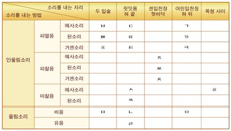 눈높이대백과