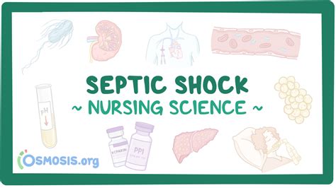 Shock Septic Nursing Video And Causes Osmosis