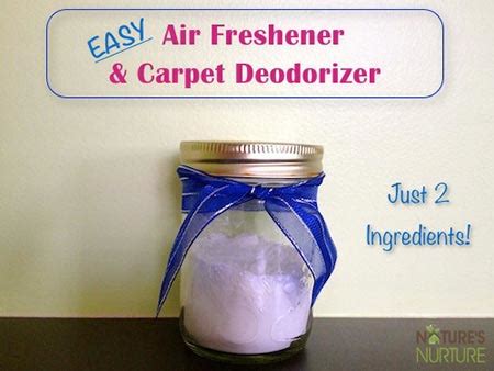 20 Natural DIY Air Fresheners Home And Gardening Ideas