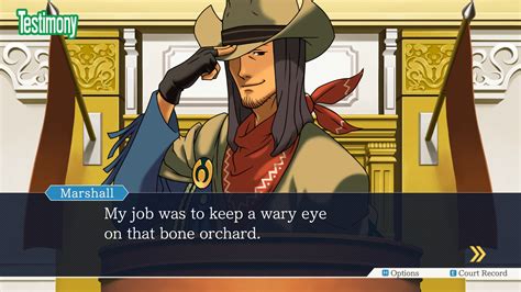 Phoenix Wright Ace Attorney Trilogie Screenshots