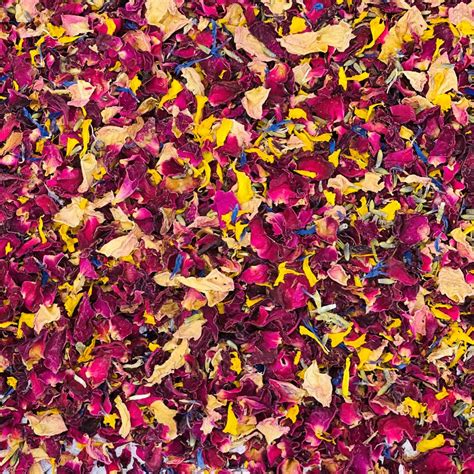 Dried Flowers For Natural Wedding Confetti Biodegradable Real Dry Eco