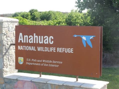 Anahuac National Wildlife Refuge Whsrn