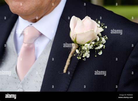 bridegroom  res stock photography  images alamy