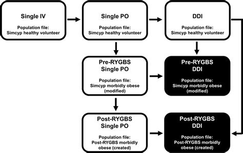 Pbpk Modeling Workflow White Boxes Represent Verification Steps And