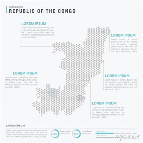 Congo Country Map Infographics Vector With Pointer Marks And Wall Mural