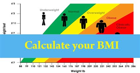 Bmi Calculator Calculate Your Body Mass Index Online