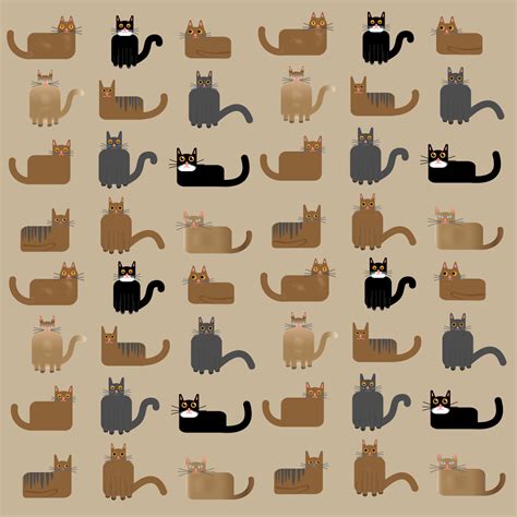 How Many Cat Breeds Are There in the World? (2024 Guide)