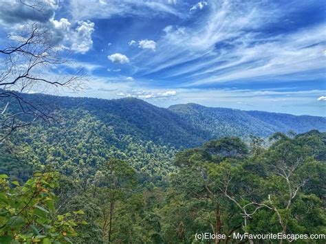 Tips to walk Caves Track in Lamington National Park