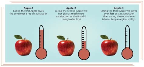 Law Of Diminishing Marginal Utility