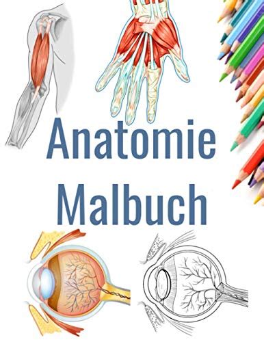 Anatomie Malbuch Anatomie Zum Ausmalen Anatomie Durch Malen Lernen