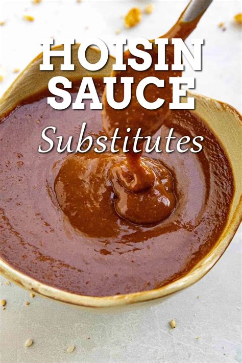 Hoisin Sauce Substitutes Chili Pepper Madness