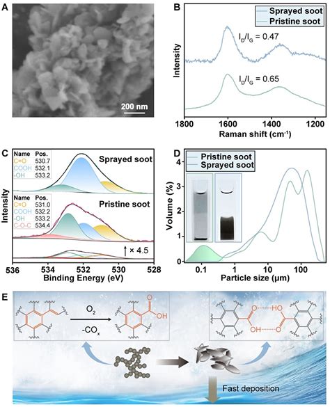 大连化物所王峰团队 中国海洋大学包锐团队jacs：揭秘海洋飞沫对惰性黑碳的降解和沉降作用 X Mol资讯