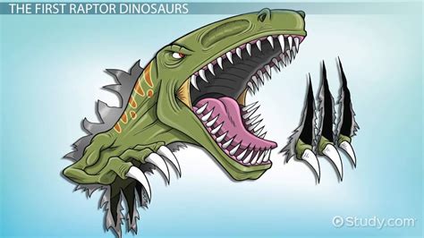 Raptor Dinosaurs | Definition, Types & Species - Lesson | Study.com