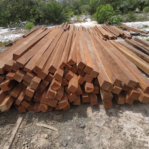 mengenal karakter kayu ulin kayu asli indonesia bahanpengawetcom