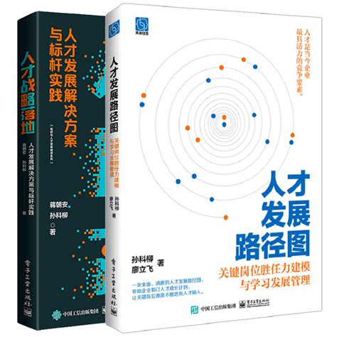 人才发展路径图关键岗位胜任力建模与学发展管理 人才战略落地人才发展解决方案与标杆实践 2本图书籍 虎窝淘