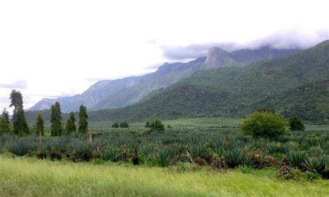 Beneath The Usambara Mountains Chuck Holliday View In Albums Mode