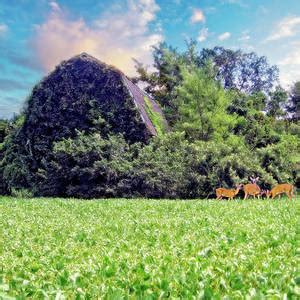 Kinder Farm Pk Silos Pano Photograph By Brian Wallace Fine Art America