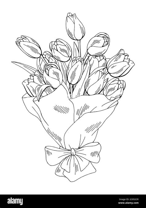 Tulip Flower Graphic Black White Isolated Bouquet Sketch Illustration