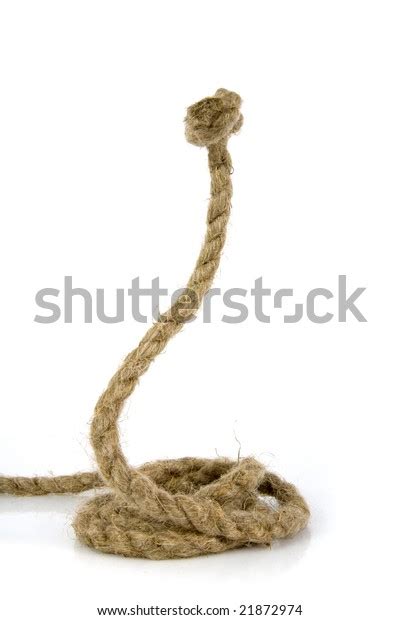 Rope Snake: Over 1,436 Royalty-Free Licensable Stock Photos | Shutterstock