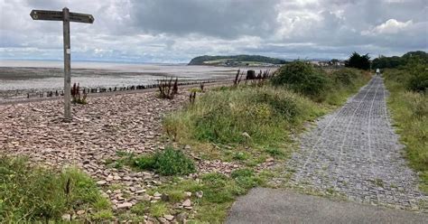 Stunning Somerset Coastal Cycle Route Could Be Extended Inland As Plans