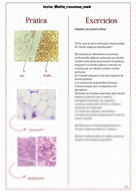 Solution Histologia Tecido Adiposo Studypool