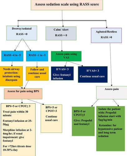 Full Article Evidence Based Guideline For Adult Sedation Pain Assessment And Analgesia In A