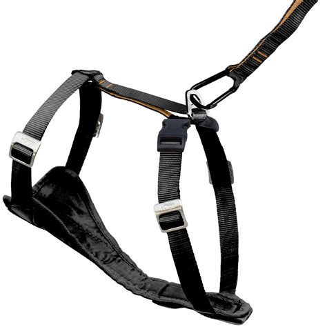 4 Best Dog Harness Choices For Small Dogs Review And Ratings