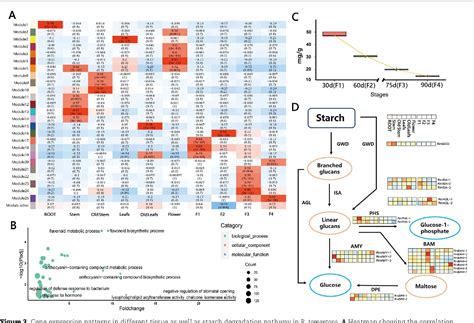 PDF Gap Free Genome Assembly And Comparative Analysis Reveal The