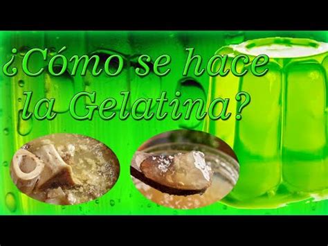 Cómo se fabrica la gelatina el proceso explicado paso a paso