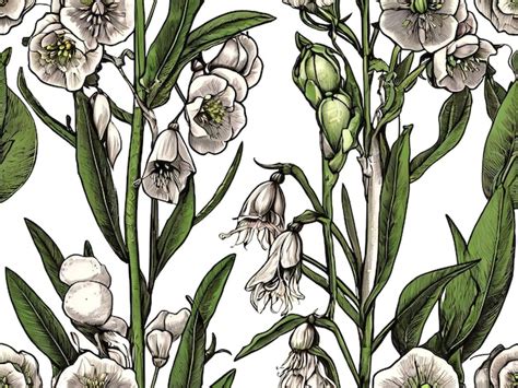 Premium Vector Vector Peas Flower And Leaf Hand Drawn Botanical