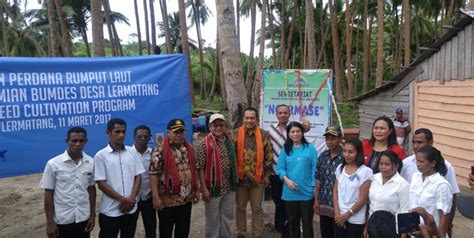 Inpex Gelar Panen Perdana Rumput Laut Dan Peresmian Bumdes Lermatang