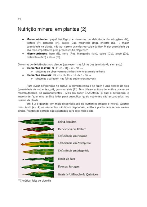 Nutri O Mineral Resumo Fisiologia Vegetal P Nutri O Mineral Em