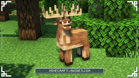 Minecraft Naturalist Mod Guide And Download Minecraft Guides Wiki