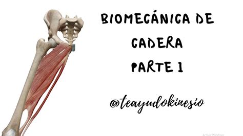 Biomecánica de cadera parte 1 movimientos y anatomía YouTube